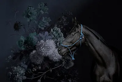 Produktbild von Tadessi Fototapete | Blumen | 4.00 m x 2.70 m | Schwarz | Blau | Wandbild | Digitaldruck