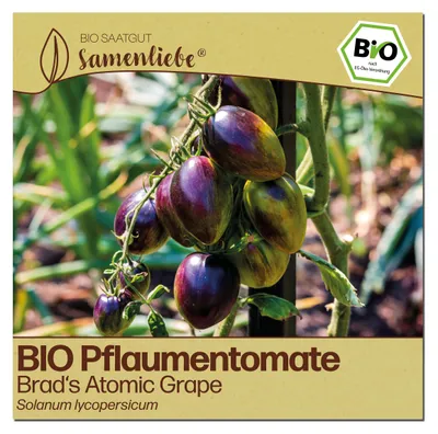 Produktbild von Samenliebe Tomate Samen | Brad's Atomic Grape - mehrfarbig & süß - samenfestes Saatgut