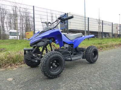 Produktbild von Elektro Quad Miniquad Kinder Atv Cobra 500 Watt 24V Pocketquad Kinderquad