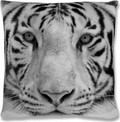 Produktbild von Kissenhülle 2er Pack Fotodruck ca. 40 x 40cm Tiger grey