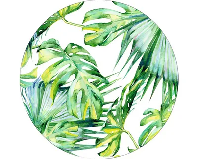 Produktbild von Glasbild Jungle GLR065 Ø 20 cm