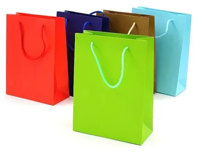 Image de Sac cadeau 24x18x8cm
