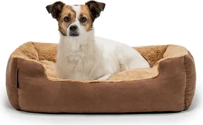 Produktbild von lionto Hundebett, weiches Kuschelbett mit herausnehmbarem Wendekissen & Anti-Rutsch-Boden, 60x48 cm, braun/beige
