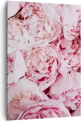 Produktbild von Bild auf Leinwand - Leinwandbild - Einteilig - Blumenstrauß Blumen Rosa - 70x100cm - Wand Bild - Wanddeko - Wandbilder - Leinwanddruck - Wanddekoration - Leinwand bilder - Wandbild - PA70x100-5001