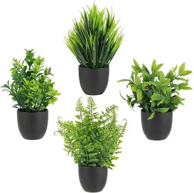 Zdjęcie produktu dla Zestaw sztucznych roślin, 4 elementy, wysokość 23 cm, łatwe w pielęgnacji