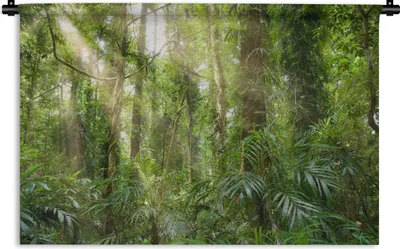 Produktbild von MuchoWow® Wandteppich Wandbehang Licht im Wald 60x40 cm Tapisserie Dekoration Wandtuch - Wanddekorationen