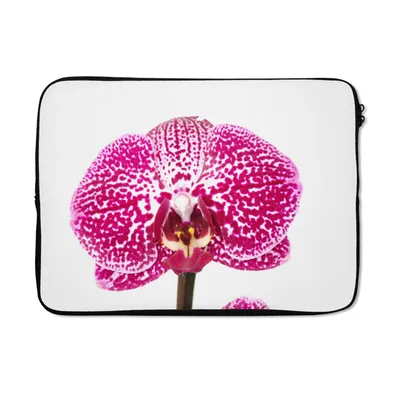 Produktbild von MuchoWow® Laptop Hülle 14 ZollOrchidee rosa Laptoptasche - Laptoptasche - Stoßsicher - Schutzhaube
