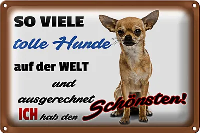Produktbild von Blechschild Spruch 30x20cm ich hab den schönsten Hund