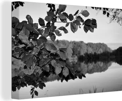Produktbild von OneMillionCanvasses® - Leinwandbilder - 150x100 cm, Herbst in Dänemark - schwarz und weiß, Wandbilder Kunstdruck Wanddekoration