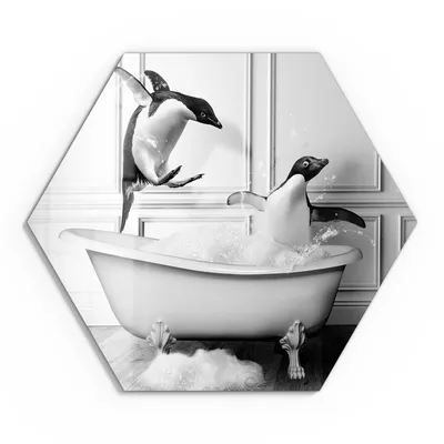 Produktbild von DEQOART Glasbild Echtglas 40x35 cm 'Pinguin-Plantschen' Wandbild Bild modern Deko