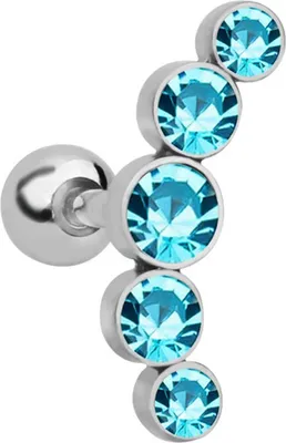Produktbild von 1 Stück Damen Edelstahl Knorpel Helix Tragus Ohrstecker Piercing Ohrring Geschenk-Blau