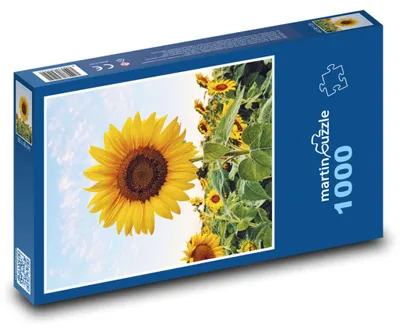 Obrázok produktu pre Puzzle 1000 Pole plné slnečníc - martinpuzzle