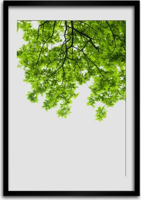 Produktbild von Bild - Bilderrahmen - 50 cm x 70 cm - MDF - Rahmen - Wandkunst Krone der Bäume