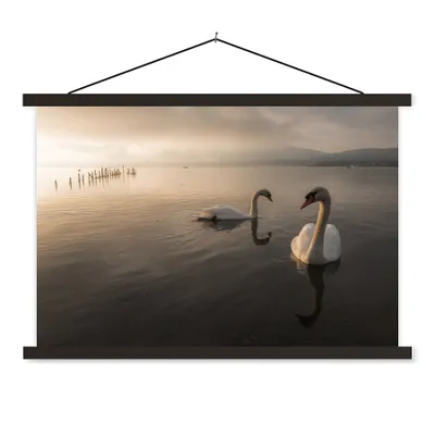 Produktbild von MuchoWow® Textilposter Schwäne - Vogel - Wasser 60x40 cm mit schwarzem Rahmen - Hölzernes