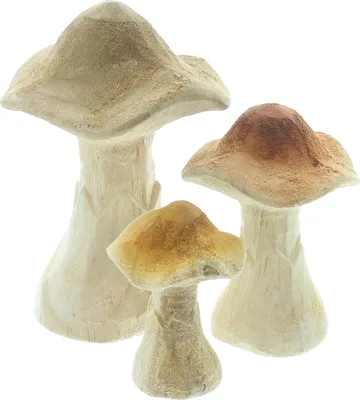 Produktbild von FRANK FLECHTWAREN Pilz Natural, 3er Set, Holz Maße: Höhe 7 cm, 10 cm, 14 cm, vielseitige Deko sowohl für das eigene Interieur als auch als Geschenk.