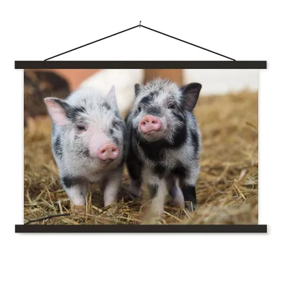 Produktbild von MuchoWow® Textilposter Schwein - Tiere - Ferkel 120x80 cm mit schwarzem Rahmen - Wanddeko