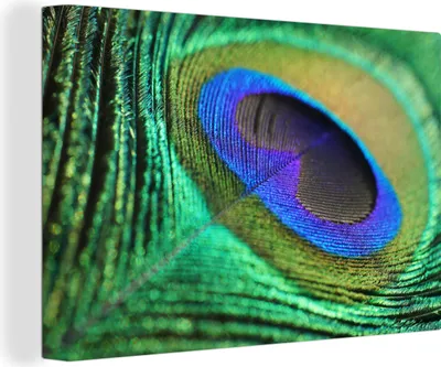 Produktbild von OneMillionCanvasses® - Leinwandbilder - 150x100 cm, Pfauenfeder blau grün, Wandbilder Kunstdruck Wanddekoration
