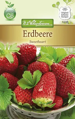 Produktbild von Ampelerdbeere Sweetheart | Erdbeersamen von N.L. Chrestensen