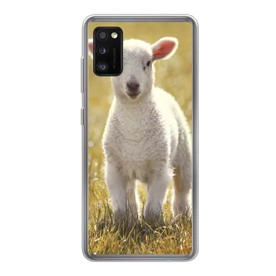 Produktbild von MuchoWow® Handyhülle Schutzhülle Hülle für Samsung Galaxy A41 Schafe - Gras - Sonne Silikon Softcase Handy Hülle - Mobiltelefon
