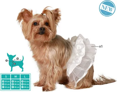 Image de Costume de chien taille M jupe de ballet
