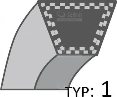 Obrázok produktu pre Pásová kosačka Cedrus CEDKS51S-H /10x738/ 484052