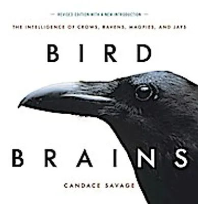Immagine prodotto di Buch Vogelgehirne: Leben und Verhalten von 16 Rabenvogelarten, Farbfotoband