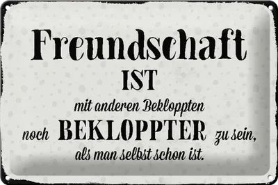 Produktbild von Blechschild Spruch 30x20cm Freundschaft ist mit anderen