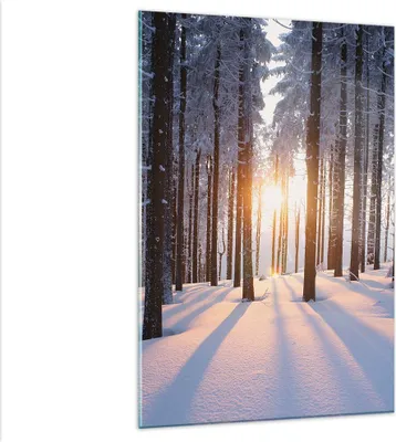 Produktbild von Bilder auf glas - Einteilig - Wald Winter Schnee - 80x120cm - Glasbilder - Wandbilder - Bilder - zum Aufhängen bereit - Wanddekoration aus Glas - Glas Bilder - Wandbild auf Glas - GPA80x120-3629