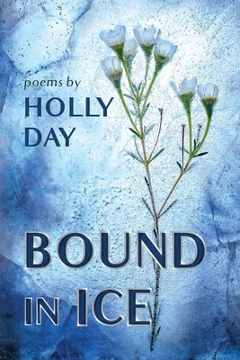 Produktbild von Bound in Ice