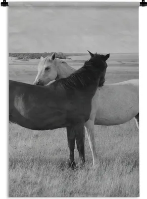Produktbild von MuchoWow® Wandteppich Wandbehang Pferde - Tiere - Porträt - Schwarz-Weiß - Landleben 90x135 cm Tapisserie Dekoration Wandtuch - Baumwolle - Wandskulptur