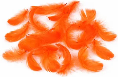 Produktbild von Dekofedern 15g, ca. 5-10cm, 15 Farben zur Auswahl, Farbe:Orange
