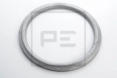 Produktbild von 2x PETERS ENNEPETAL Druckring 055.405-00A 15mm 253mm 307mm 0,525kg