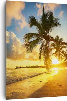 Produktbild von Bild auf Leinwand - Leinwandbild - Einteilig - Meer Strand Palme - 70x100cm - Wand Bild - Wanddeko - Wandbilder - Leinwanddruck - Wanddekoration - Leinwand bilder - Wandbild - PA70x100-3922