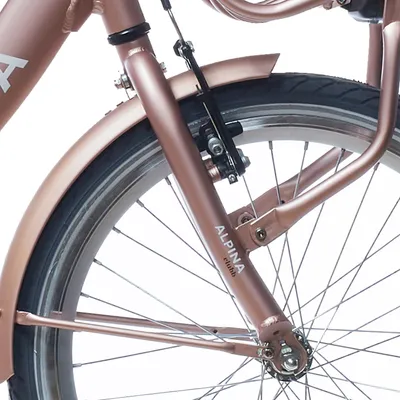 Image de Alpina Fork 20 Clubb Or rose mat