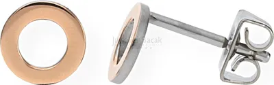 Produktbild von Boccia Ohrstecker 05023-03 Titan teilvergoldet