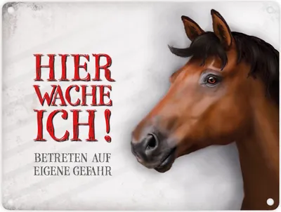 Produktbild von Metallschild mit Pferd Motiv und Spruch: Betreten auf eigene Gefahr ... Schild