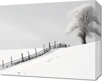 Produktbild von Bild 50x40cm Einsamkeit des Winters am Zaun
