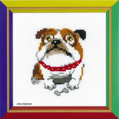 Image de Riolis "Bulldog anglais" set de point de croix, modèle à compter