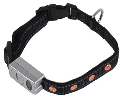 Produktbild von LED Sicherheits-Hundehalsband Blinklicht Reflektionsstreifen 40-46cm Leuchtband