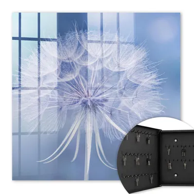 Produktbild von Metall Schlüsselkasten 30 x 30 cm - schwarzer Schlüsselschrank zur Wandmontage - wandhängende Schlüsselbox mit Tür - nach links öffnend - Schlüsselaufbewahrung für Flur - Büro - Arbeitszimmer - Werkstatt - Garage - Zarter Löwenzahn