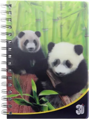 Image de Carnet de notes Panda 3D