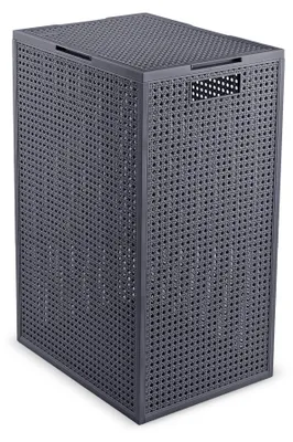 Image de CURVER KAYA Wäschebox 60l graublau 115792 8013183158187