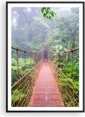 Produktbild von Gerahmtes Poster - Schwarzer Rahmen - Brücke ausgesetzt Costa Rica - 70x100 cm - Wand Bild - Wanddeko - Wandbilder - Kunstposter - Wandposter - Bilderrahmen - Bilder - Kunstdruck - P2BPA70x100-4923