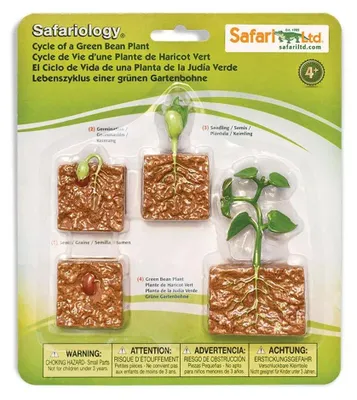 Produktbild von Safari Ltd Lebenszyklus Einer Grünen Bohnenpflanze Abbildung Mehrfarbig From 3 Years Kinder Mehrfarbig From 3 Years