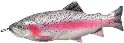 Produktbild von Fladen Stofftier Regenbogenforelle Länge 65 cm Fischkissen
