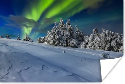 Produktbild von MuchoWow® Poster Nordlichter - Schnee - Baum - Winter 30x20 cm - Plakate - Print