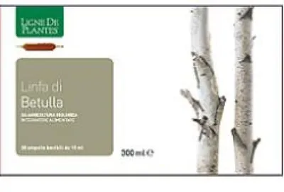 Productafbeelding van BIOLOGISCH BIRKENSAP, 20 ampullen, elk 15 ml