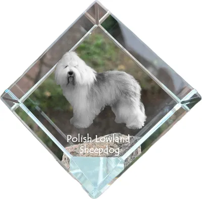 Immagine prodotto di Art-Dog Fermacarte – Cane da pastore delle pianure polacche