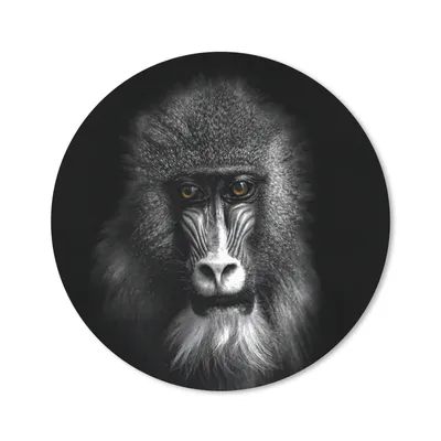 Produktbild von MuchoWow® Mauspad Mousepad Affe - Tiere - Augen - Braun - Schwarz und weiß 20x20 cm - Mousepads - Maus Mat - Pad - Mausunterlage - Schreibtischmatte