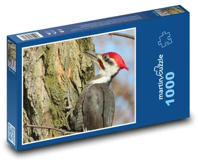 Obrázek produktu pro martinpuzzle - Puzzle 1000 - Datel